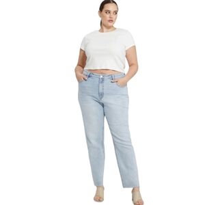 NWT Sanctuary Denim 90’s High Rise Straight Leg Jean (20W)